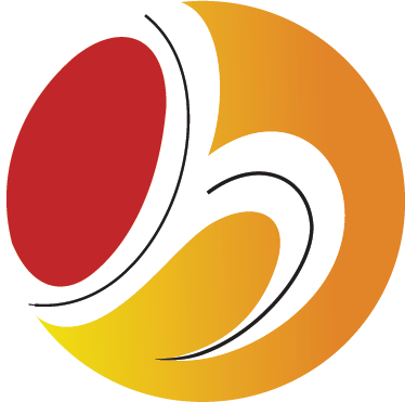 Precision Learning Logo